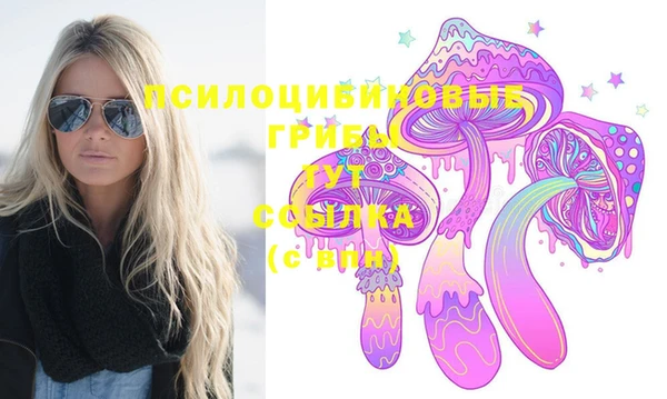 прущая мука Михайлов
